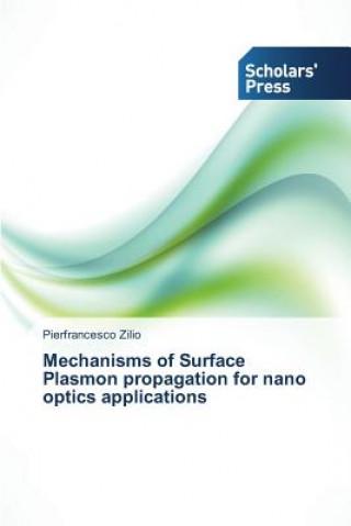 Mechanisms of Surface Plasmon propagation for nano optics applications