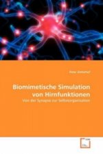 Biomimetische Simulation von Hirnfunktionen