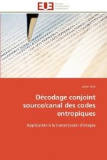 D codage Conjoint Source/Canal Des Codes Entropiques