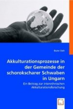 Akkulturationsprozesse in der Gemeinde der schorokscharer Schwaben in Ungarn