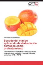 Secado del Mango Aplicando Deshidratacion Osmotica Como Pretratamiento