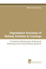 Degradation Processes of Railway Switches & Crossings