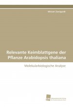 Relevante Keimblattgene der Pflanze Arabidopsis thaliana