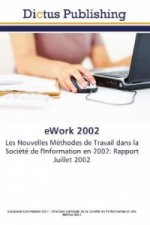 eWork 2002