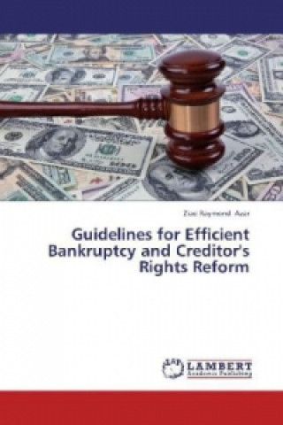 Guidelines for Efficient Bankruptcy and Creditor's Rights Reform