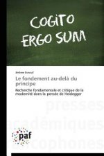 Le Fondement Au-Dela Du Principe