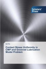 Contact Stress Uniformity in CMP and Grooved Lubrication Model Problem