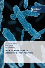 Role of stem cells in periodontal regeneration