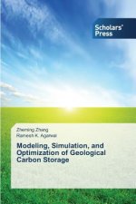 Modeling, Simulation, and Optimization of Geological Carbon Storage