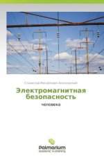 Elektromagnitnaya Bezopasnost'