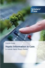 Haptic Information in Cars