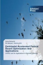 Centripetal Accelerated Particle Swarm Optimization And Applications