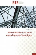 R habilitation Du Pont M tallique de Sempigny