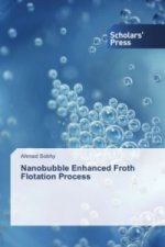 Nanobubble Enhanced Froth Flotation Process