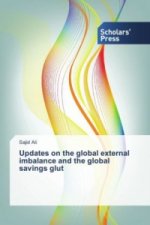 Updates on the Global External Imbalance and the Global Savings Glut
