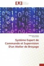 Syst me Expert de Commande Et Supervision d'Un Atelier de Broyage