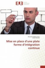 Mise En Place D Une Plate Forme D Int gration Continue