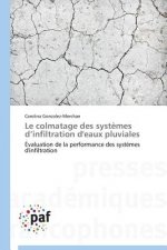 Le Colmatage Des Systemes D Infiltration d'Eaux Pluviales