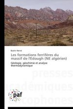 Les Formations Ferriferes Du Massif de l'Edough (Ne Algerien)