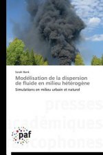 Modelisation de la Dispersion de Fluide En Milieu Heterogene