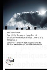 Societes transnationales et droit international des droits de l'homme