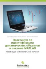 Praktikum Po Identifikatsii Dinamicheskikh OBEktov V Sisteme MATLAB