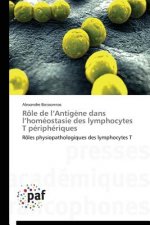 Role de L Antigene Dans L Homeostasie Des Lymphocytes T Peripheriques