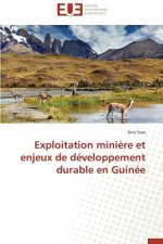 Exploitation Mini re Et Enjeux de D veloppement Durable En Guin e