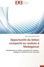 Opportunit  Du B ton Compact  Au Rouleau   Madagascar