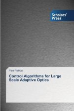 Control Algorithms for Large Scale Adaptive Optics