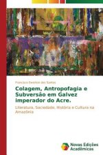 Colagem, antropofagia e subversao em Galvez Imperador do Acre