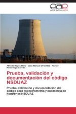 Prueba, validacion y documentacion del codigo NSDUAZ