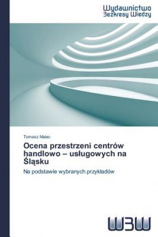 Ocena przestrzeni centrow handlowo - uslugowych na Śląsku