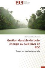 Gestion Durable Du Bois- nergie Au Sud-Kivu En Rdc