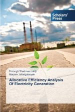 Allocative Efficiency Analysis Of Electricity Generation
