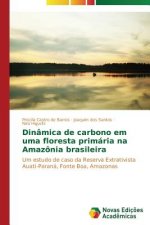 Dinamica de carbono em uma floresta primaria na Amazonia brasileira