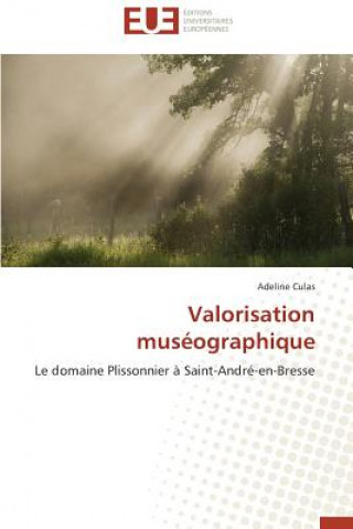 Valorisation Mus ographique