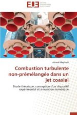 Combustion Turbulente Non-Pr m lang e Dans Un Jet Coaxial
