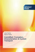 CuInAlSe2