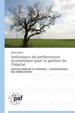 Indicateurs de Performance Economique Pour La Gestion de l'Hopital