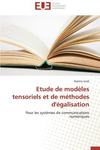 Etude de Mod les Tensoriels Et de M thodes d' galisation