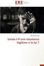 Existe-T-Il Une R sistance L gitime   La Loi ?