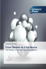 From Quarks to Cold Atoms
