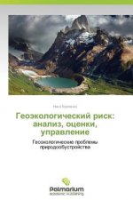 Geoekologicheskiy risk