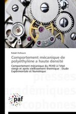 Comportement Mecanique de Polyethylene a Haute Densite