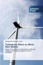 Turbulence Effect on Wind-Rain Station