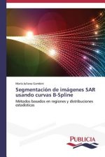 Segmentacion de imagenes SAR usando curvas B-Spline