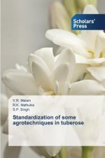 Standardization of some agrotechniques in tuberose