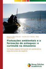 Flutuacoes ambientais e a formacao de estoques