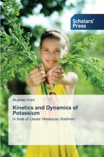 Kinetics and Dynamics of Potassium
